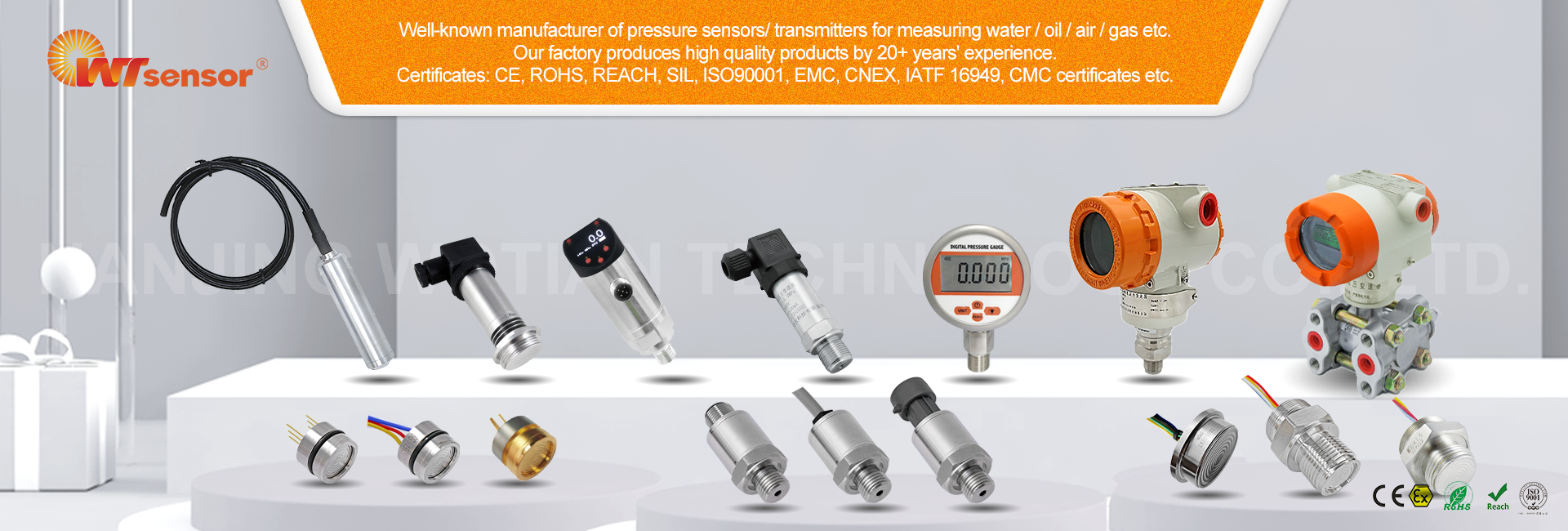 Pressure Sensor Manufacturer