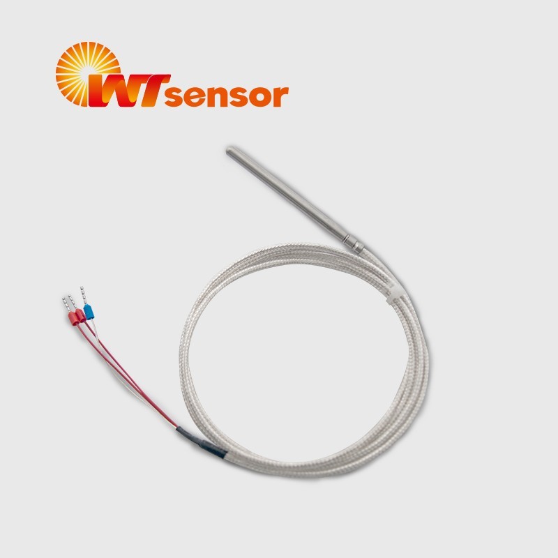 Platinum Resistance Temperature Sensor PCT10