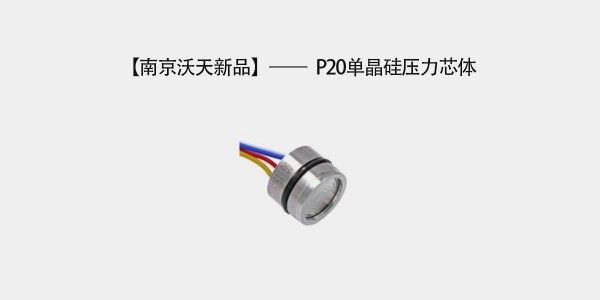 Nanjing Wotian New Product—P20 Monocrystalline Silicon Pressure Core