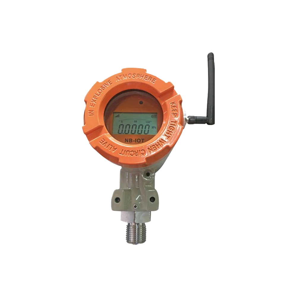 Wireless Pressure Transmitter PCM9880