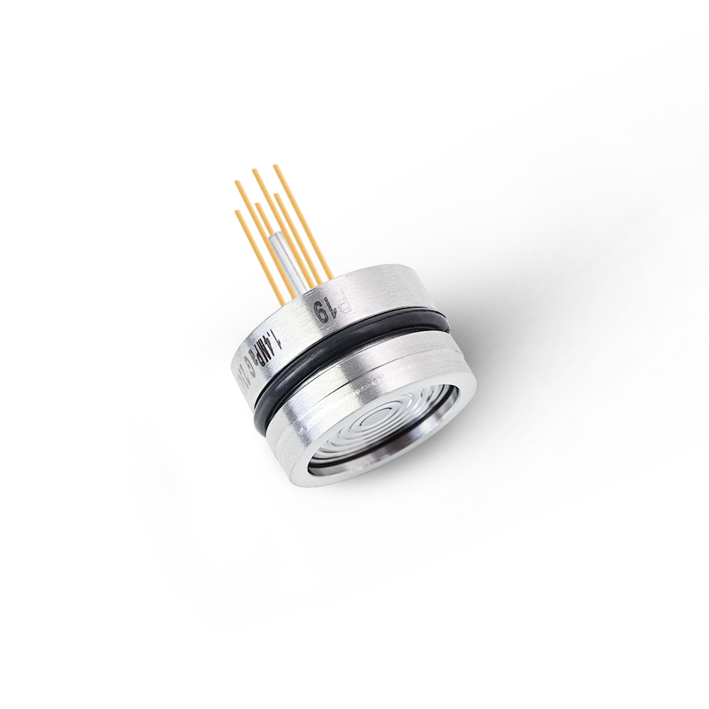 High Performance Pressure Sensor P19 High Performance Pressure Sensor P19