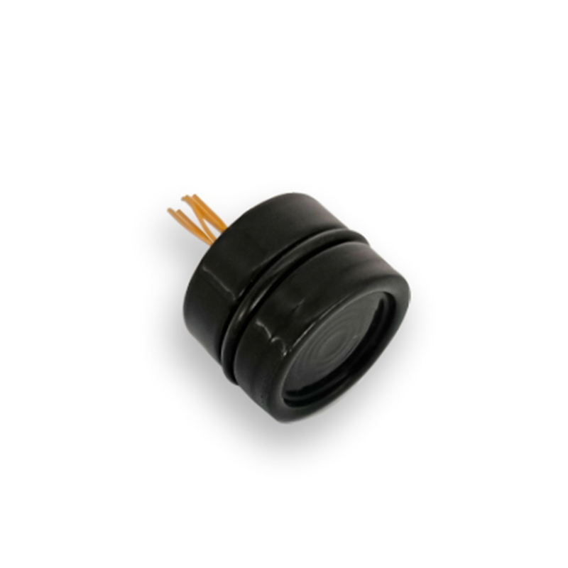 PC10PTFE pressure sensor PC10PTFE pressure sensor