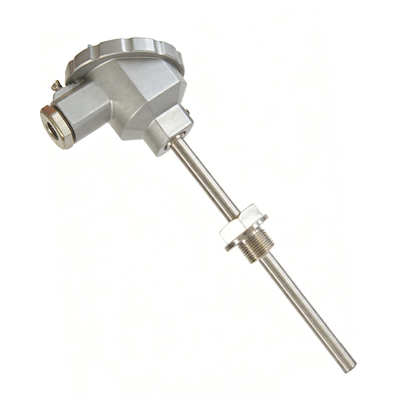 Armored Temperature Transmitter PCT220