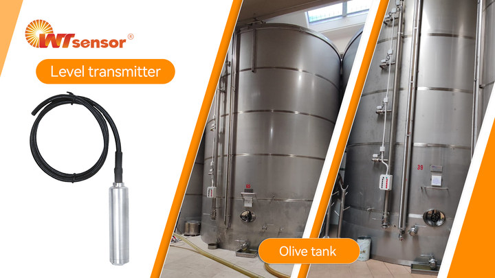 Process Line Transmitters: Professional Pressure and Level Measurement Solutions for Industrial Automation